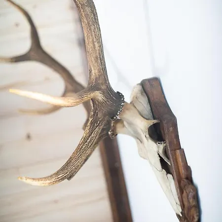 Kezman Mountain Brvnara