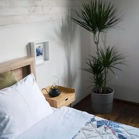 Kezman Mountain * Kopaonik